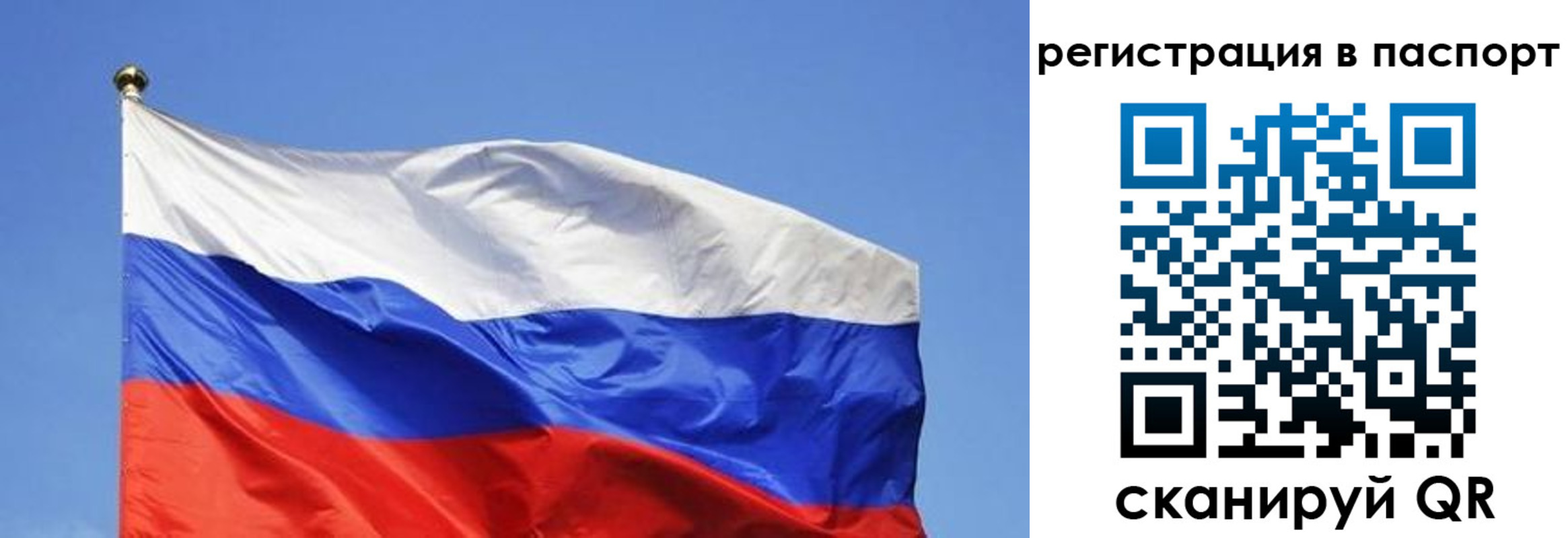 прописка в квартире в Карталах